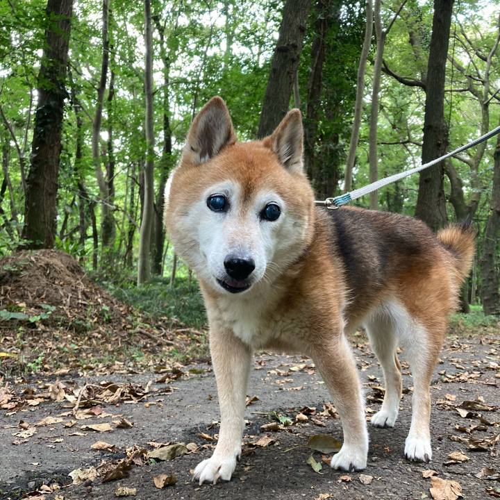 Ee2b5cd6 418c 4835 9dc5 1828a6793a16 1754198918348