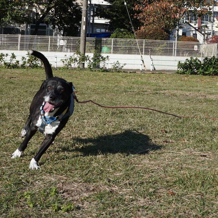 Ee2b8491 8b7d 4558 b9a6 8c21938117fd 1762131791764