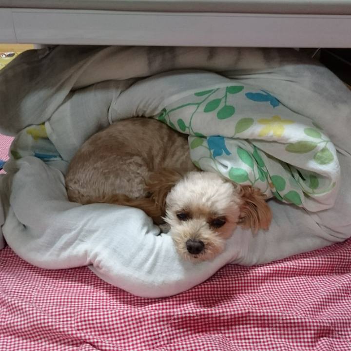 Ee2b9fe0 7995 4f85 adc0 8ccf0bf72df4 1601813856554