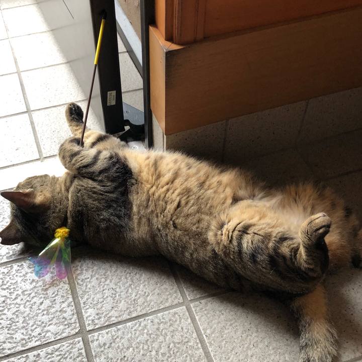 Ee2bf968 833d 4183 bcb1 a4b2ae93807c 1530963162153