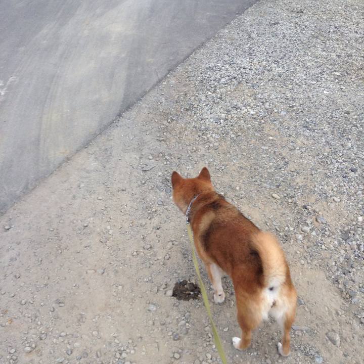 Ee2c04f7 23cd 412c b9a9 74932965e97a 1563959819846