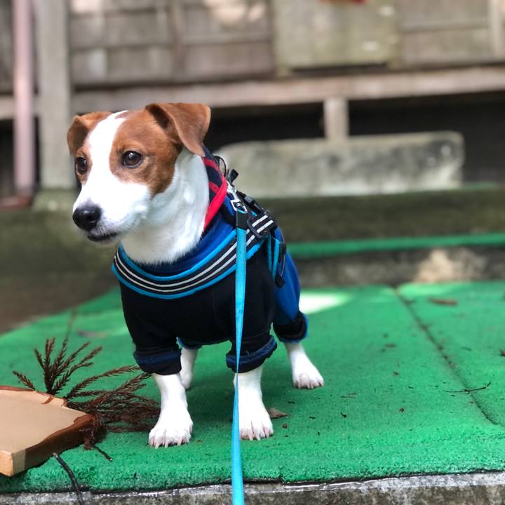 Ee2c1a8d 70bb 4e5e 86fa 5323fefd93a5 1643794273731