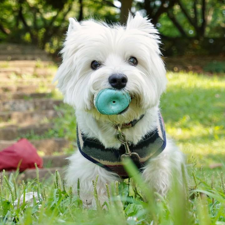 Ee2c6fbf 5124 4e94 b149 1a7961638e59 1529999547718