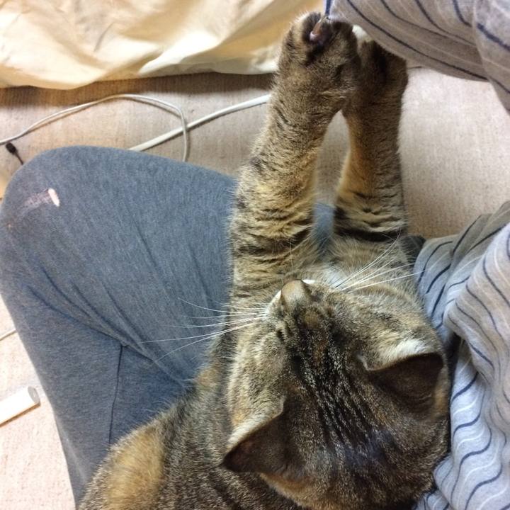 Ee2c851a 5af5 4025 b1ef 6e08f82f909d 1585356932224