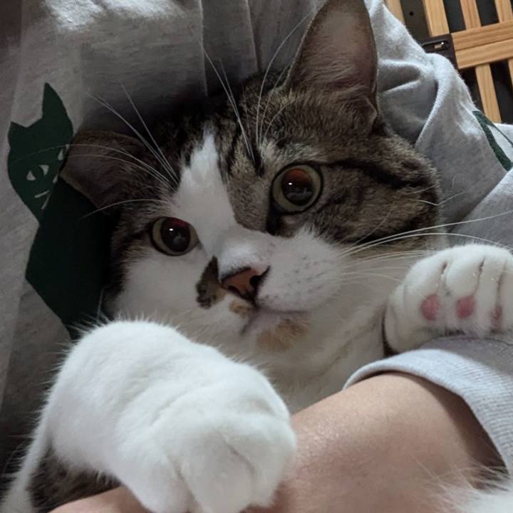 Ee2c95ce fee1 406a 8635 9a71de1bd4f6 1731763867067