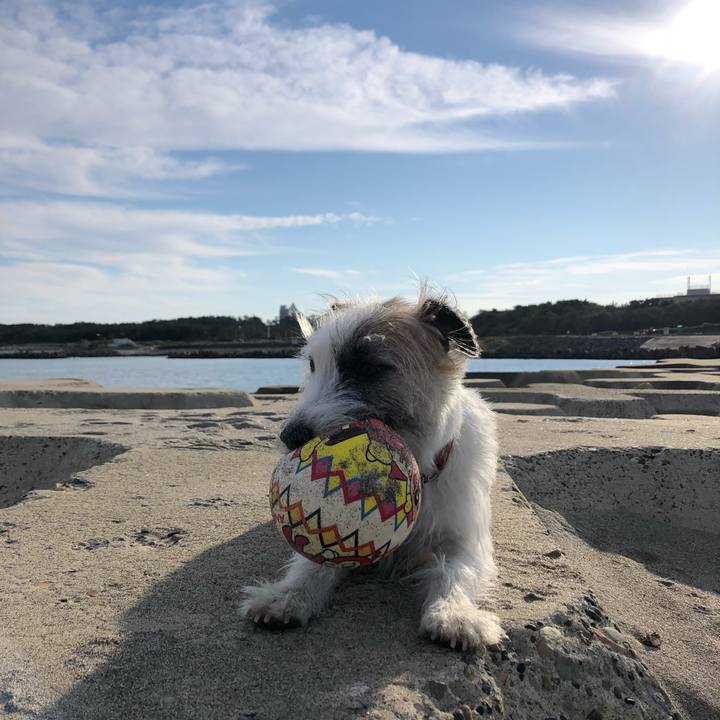 Ee2ca5fc afb2 4b90 af0b 7d66212583cd 1602975909845