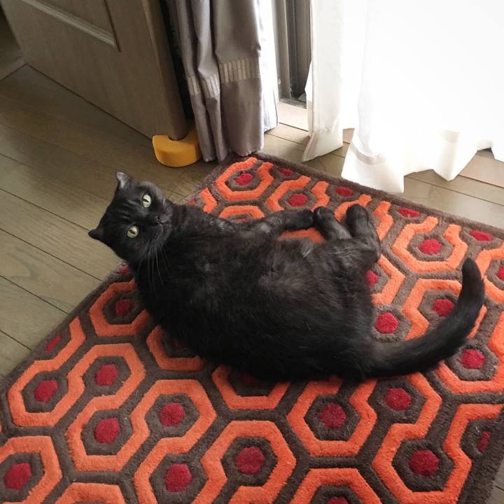 Ee2ca67c 7964 46f6 a720 eb5cd3841102 1569028414311