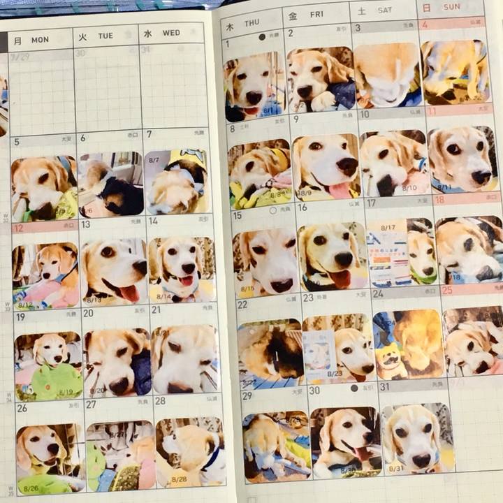 Ee2cd673 529c 4477 835d 00dba2a5b824 1567914180994