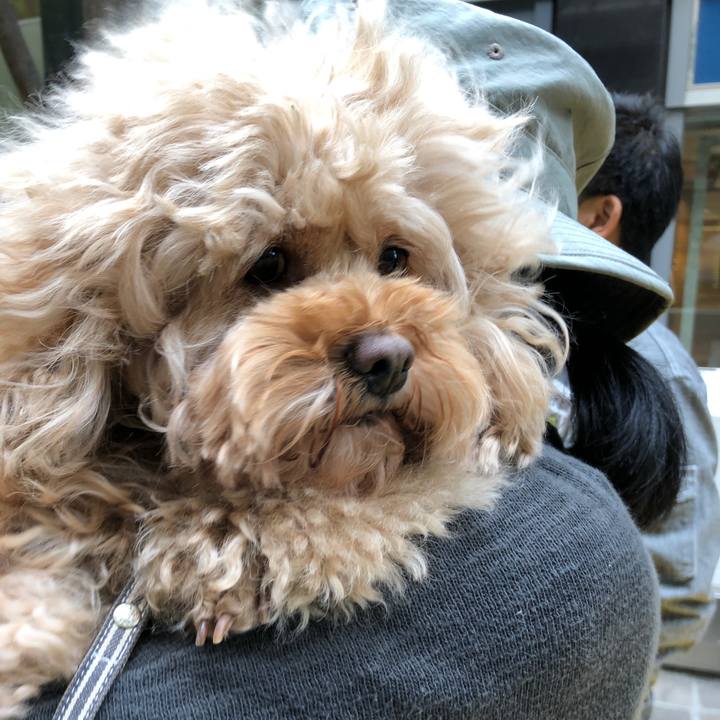 Ee2ceca6 1d04 46b9 b75a 8d6db327fc57 1555756617741