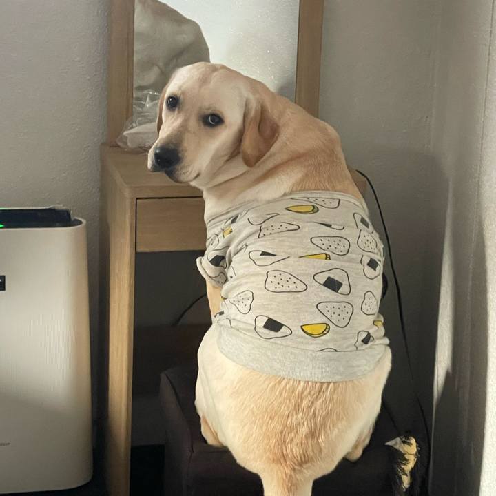 Ee2d252c 234c 466a a800 0e5d52bc006d 1639878364080