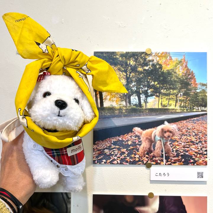 Ee2d43b3 db42 41e0 a040 dfa804614a97 1766217124615