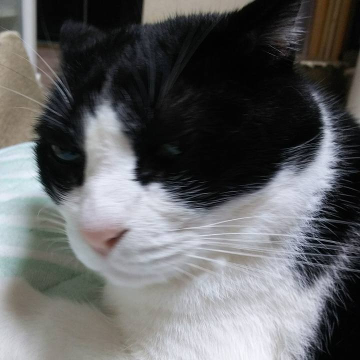 Ee2d69e1 5a5c 4f49 a27e e1a0ceade073 1537306932323