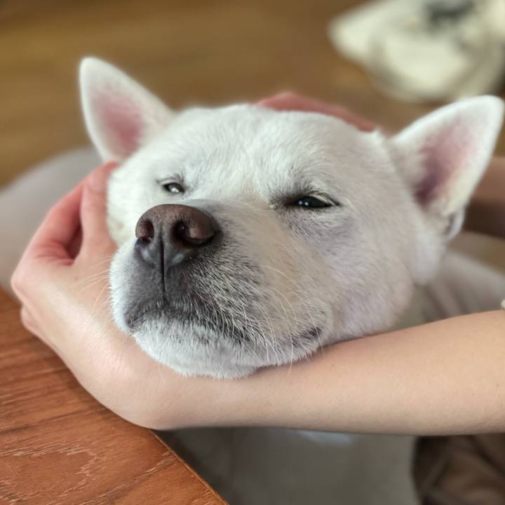 Ee2d8a57 d8ff 4182 8332 afd0a181ce28 1616806271295