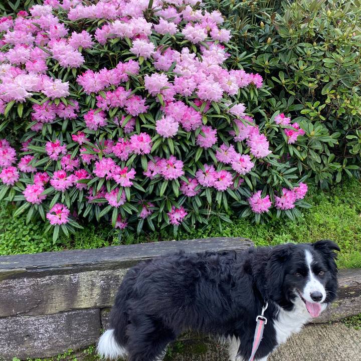 Ee2d908a afe8 40fd ba88 d2c35524f650 1649660356346