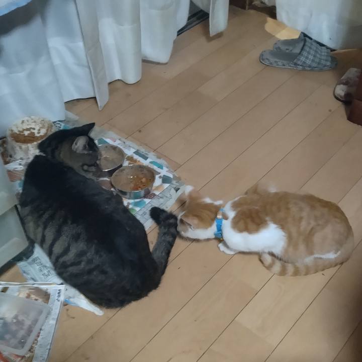 Ee2e3171 4f5f 4864 a2bc 45133b070e8a 1732229079705