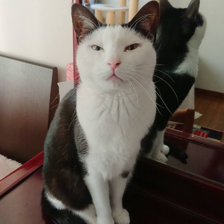 Ee2e37b3 4fdd 478b a942 aba5f690aba3 1546736874964