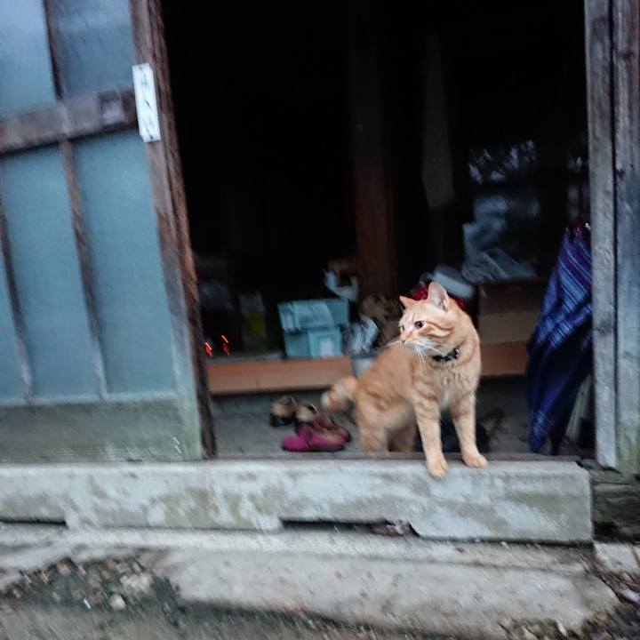 Ee2e5196 24b3 4588 b1e9 e5300adce9f4 1662238406651