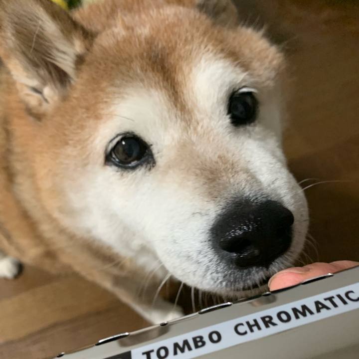 Ee2e7865 ae39 45e1 81ab 93021de44235 1568714643358