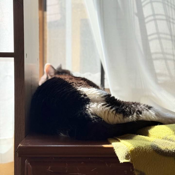 Ee2e7bdc 5f55 44c3 a516 29719d2c1ed7 1743386015219