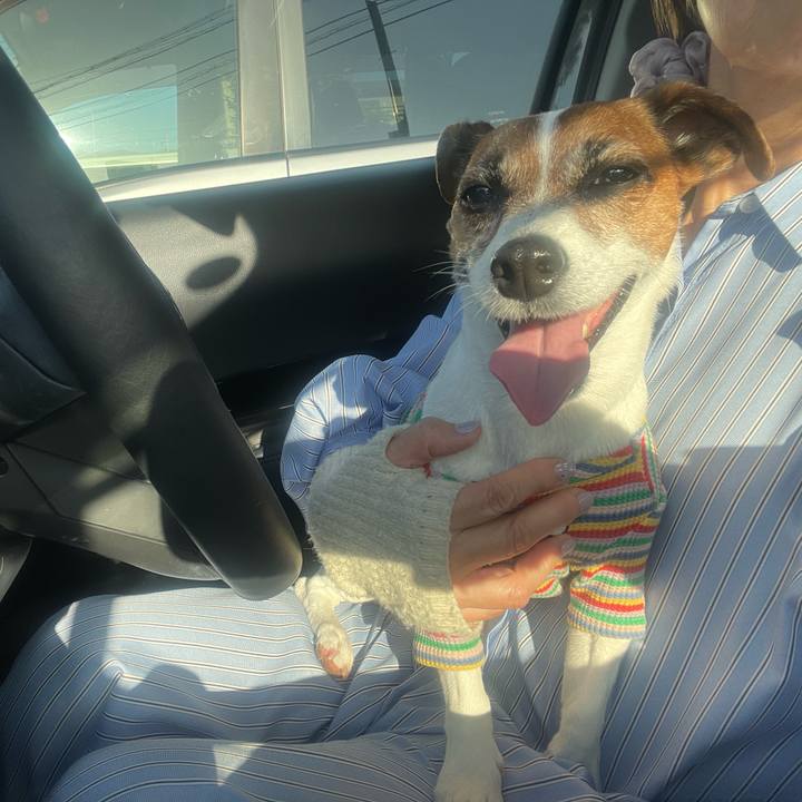 Ee2ed370 1dba 460b afdd 483ee626844a 1749111666311