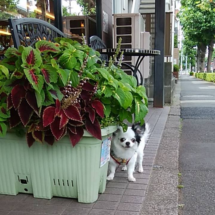 Ee2edb53 80be 46c8 83de 69493f3085e9 1637504824835