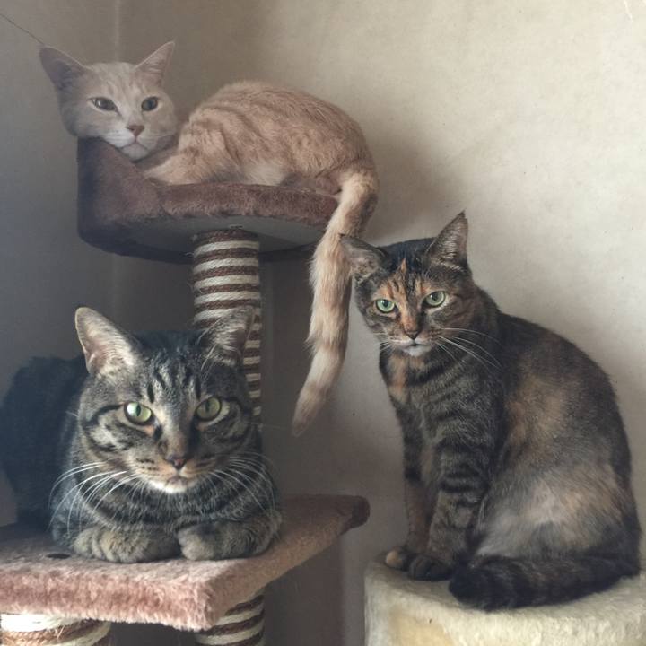 Ee2f0c5c fbe4 40af bf7f 36012e472748 1553225947636