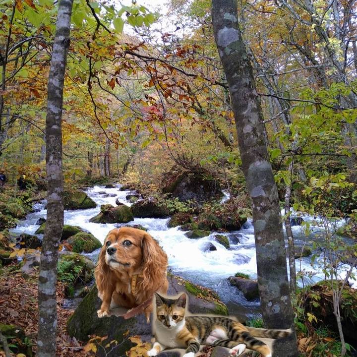 Ee2f10d4 8274 4ad0 933c 6437192eab83 1666792565808