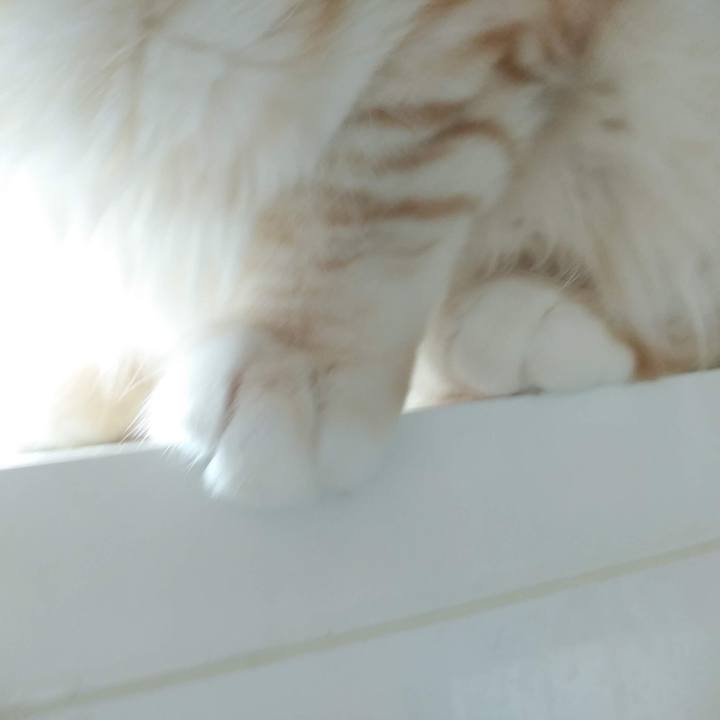 Ee2f1a01 e8f7 4b91 abc2 20536f754be1 1616206561713