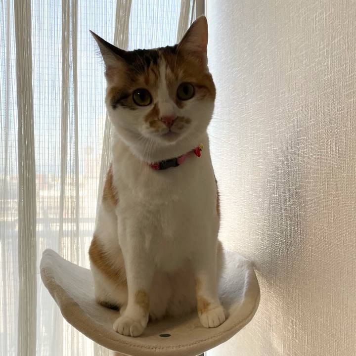 Ee2f3a9a 21c2 4a08 a4b2 5aaef0554a08 1614123224544