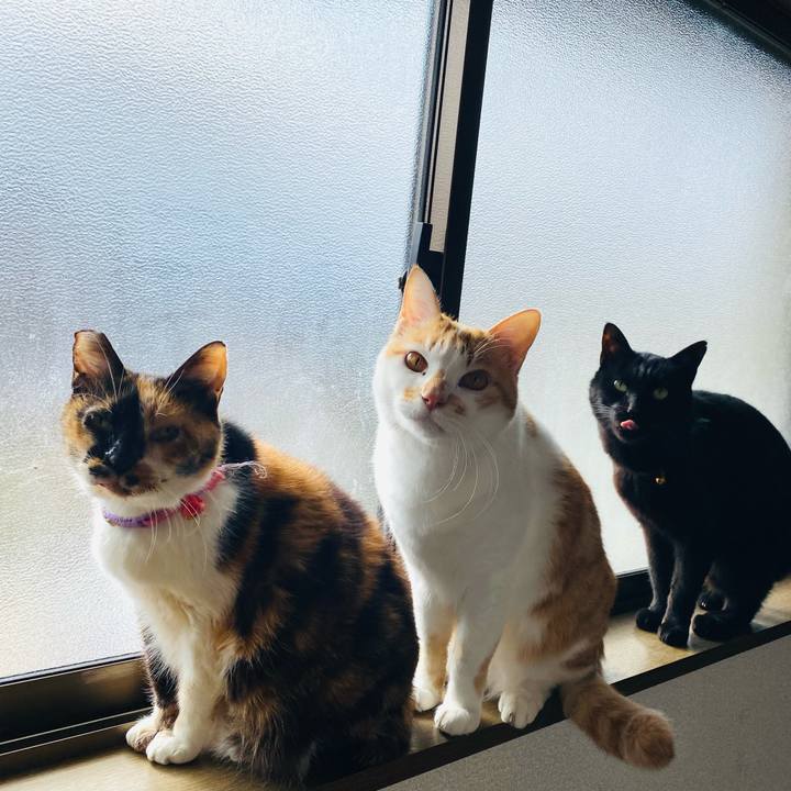 Ee2f3d21 b8d7 4234 9421 0496f90307a7 1705806844243