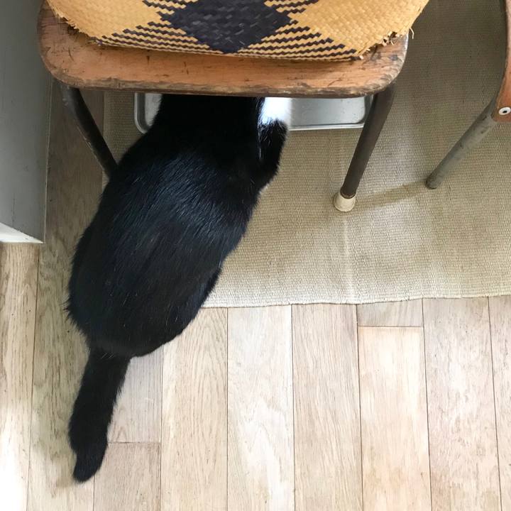 Ee2f3f28 812e 4b45 9184 99ee1f179d6a 1509782661973