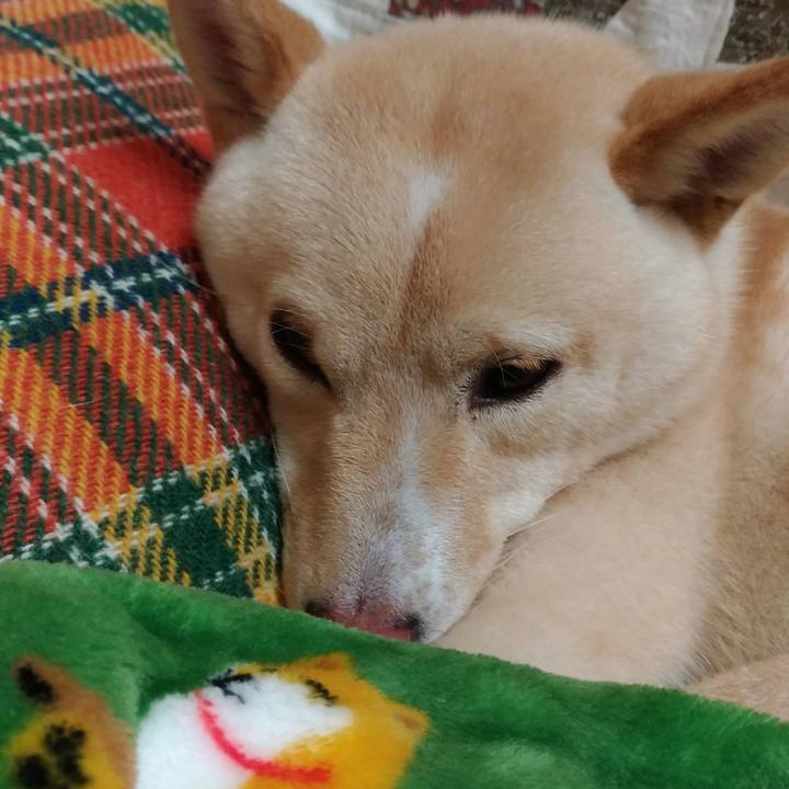 Ee2f4c23 c163 44a7 a08a d6468d3097cb 1515327441139