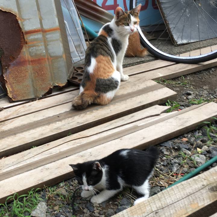 Ee2f5763 a36a 458a 80d7 87fab5af87dc 1626586299839