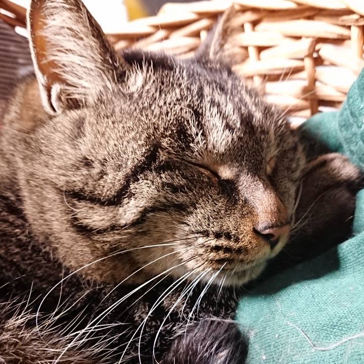 Ee2f684b d860 48d8 9715 3b3913c49a17 1641125818774