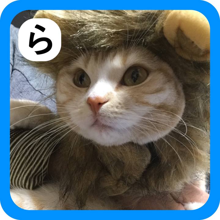 Ee2fa3b1 05c4 48bc 8b79 66dc74253f79 1514808901343