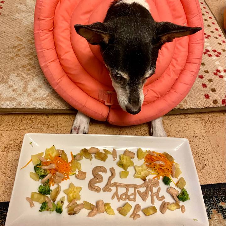 Ee2fdd7b 712e 4648 9774 10d447686a48 1631619839863