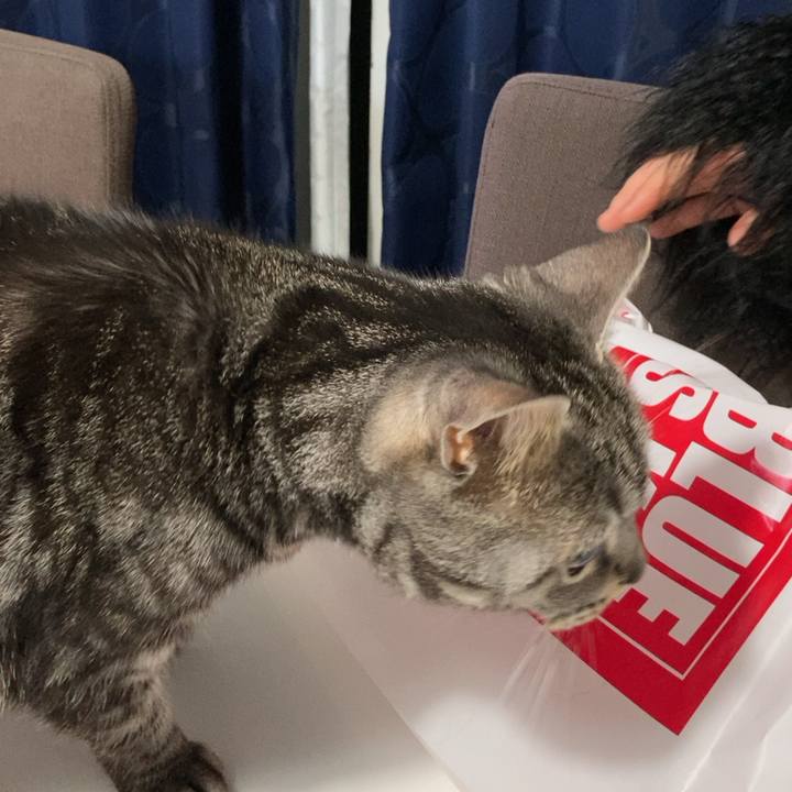 Ee307b6b 8df2 4651 944d d830c66f3bcb 1644845826445