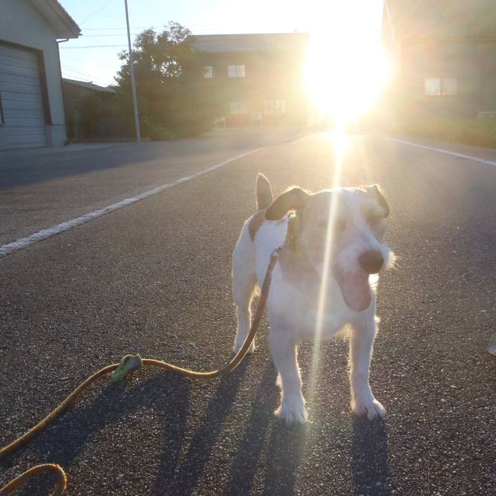 Ee309026 c017 4a55 9785 e539d4911cf2 1534982664565