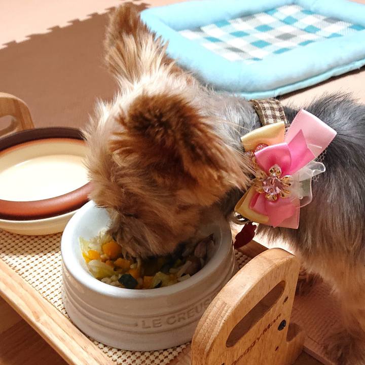 Ee30ef0e c952 4d6c 8fe9 5088686ead60 1568899018021