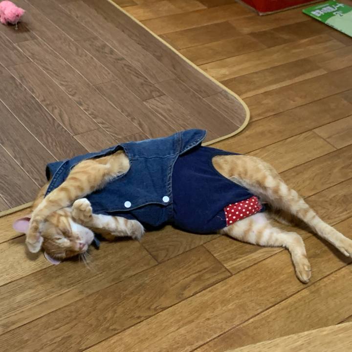 Ee30ef6a d43f 4456 bb70 4938bae68c79 1623489329056