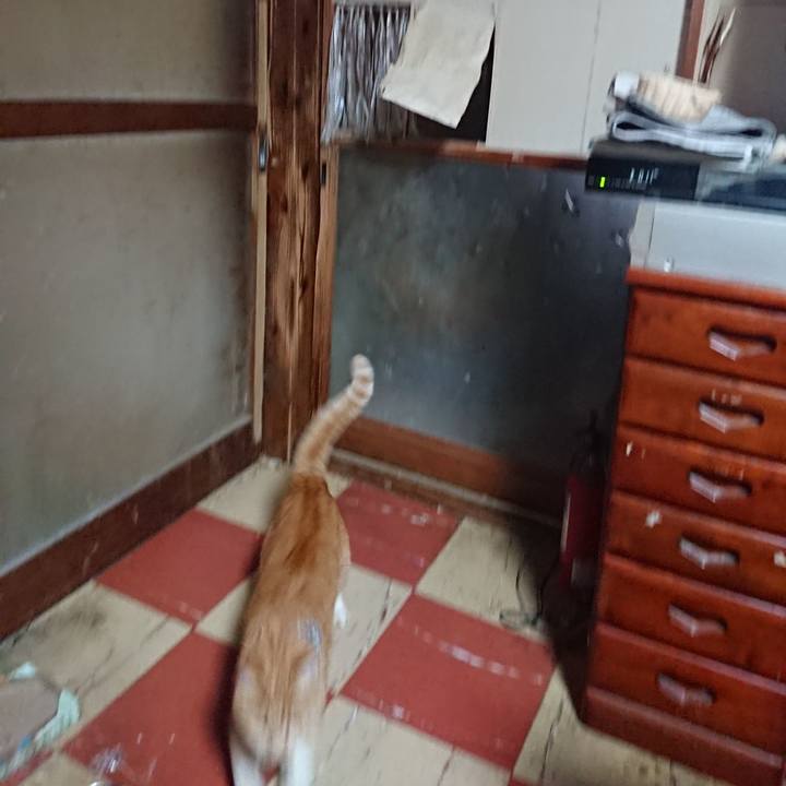 Ee30f1f7 a7e9 42dc 9eff 30fa1524efdd 1572644237786