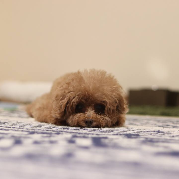 Ee3107b6 abda 45e9 9456 c490791a2276 1536585124500