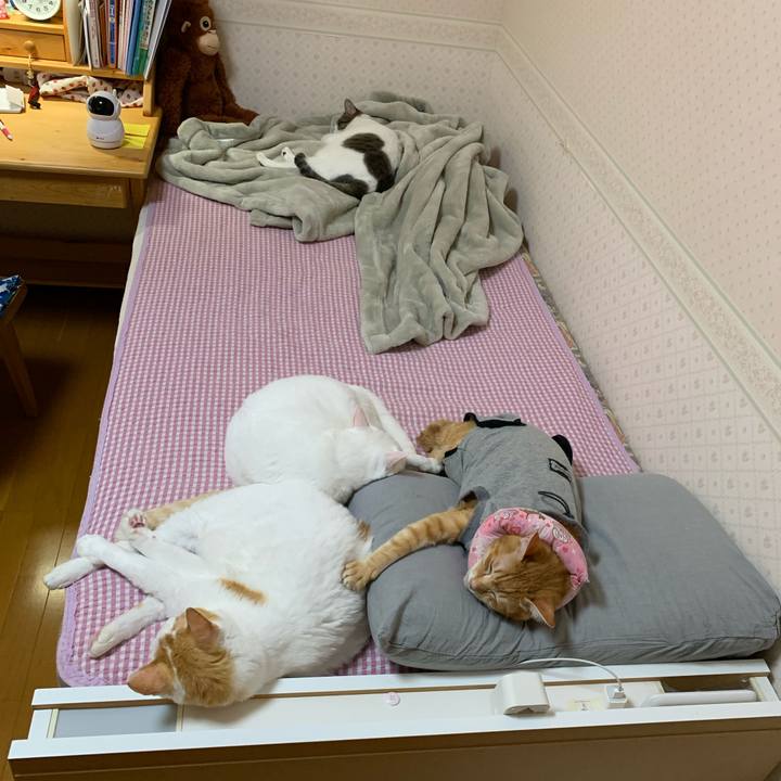 Ee3119dc 1a3e 47ec 9249 7d0a0ddde893 1635610689592