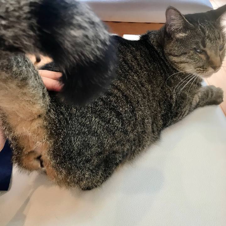 Ee311fad 12d1 483d bfdf 6df477bcca66 1602475286782