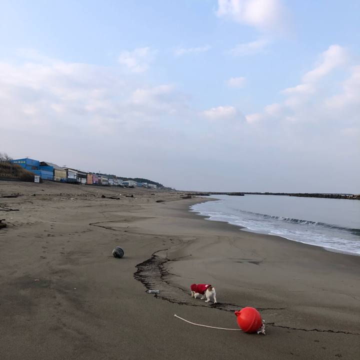 Ee3151a4 e563 4edc 9d38 adf34bce8a64 1609198081118