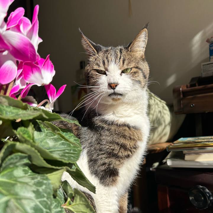 Ee315229 56a2 4af9 82e2 e0506b0b493f 1735438115960