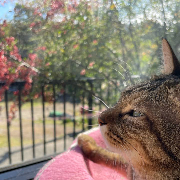 Ee3156dd 7d1f 49a8 bf5a 3ad261f5e5e3 1667350877573