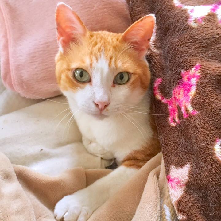 Ee317245 bb92 46cb 9063 0fb7f511f57b 1559875565062