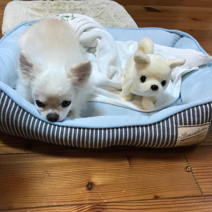 Ee317ba8 4750 4563 bbfb 5d08c33130ef 1546346697814