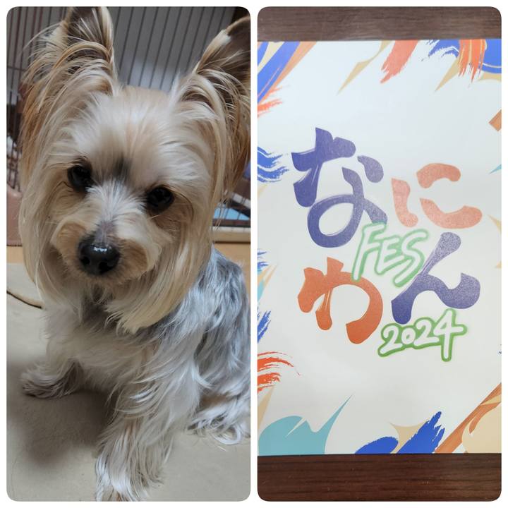 Ee31806a 2a73 45ab b0d8 8735246ed16f 1709778396006